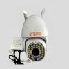 Camera IP Wifi PTZ D36S